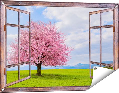 Gards Affiche De Jardin Arbre En Fleurs De Sakura Rose Transparent Dans