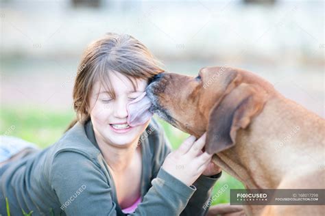 Dog Licking Girl Telegraph