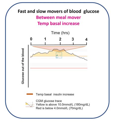 Basal Insulin - The Glucose Never Lies