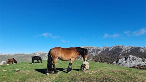 Pin Piletik 1296m Giro Argia Eta Epela Bista Ederrakin Eitb Eus