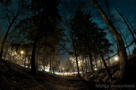 Forest road night by Citruspers on DeviantArt