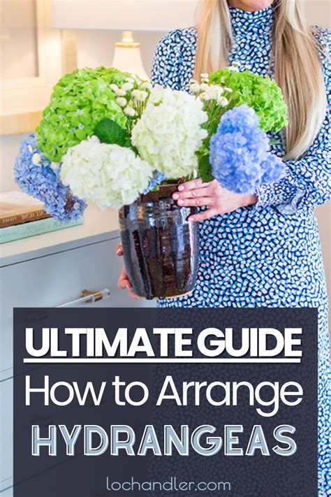 The Ultimate Guide To How To Arrange Hydrangeas