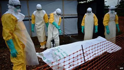 Ebola Crisis Vastly Underestimated Says Who Bbc News