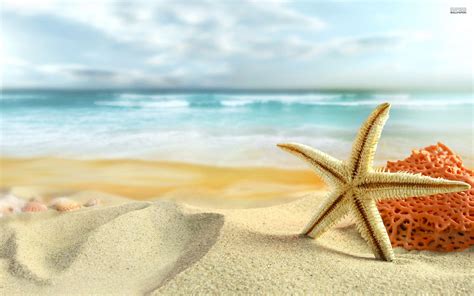 Starfish Wallpapers Wallpaper Cave