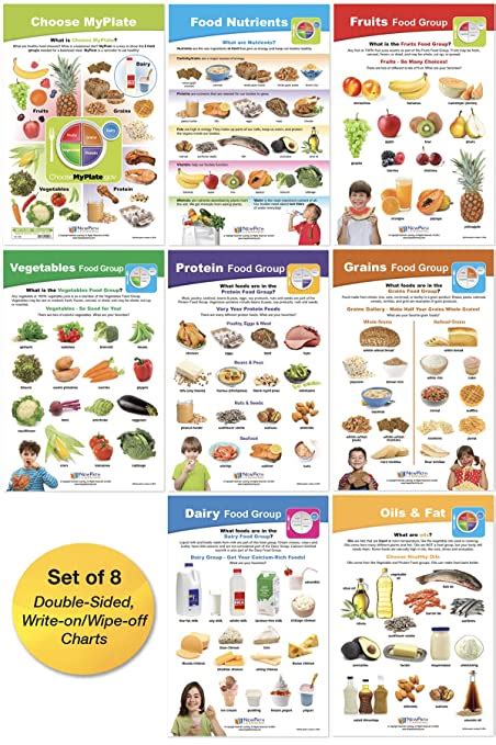 Newpath Myplate Food And Nutrition Bulletin Board Charts