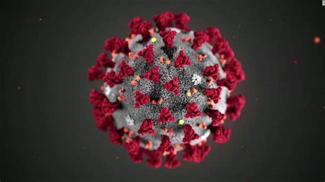 coronavirus  monday march  cnn