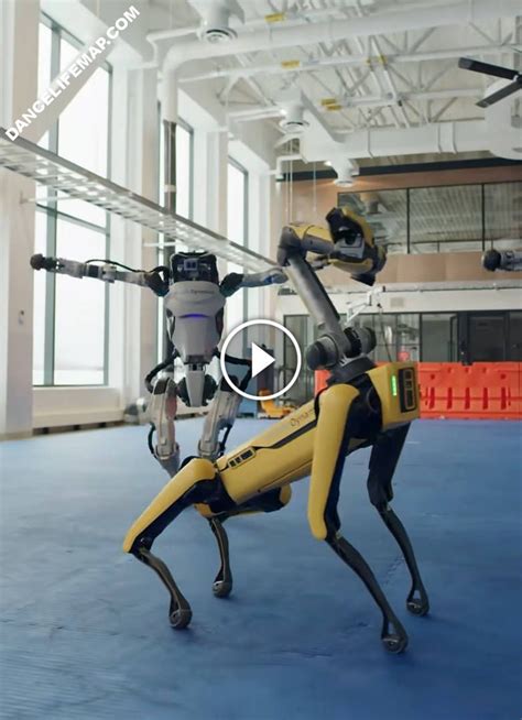 Awesome Dancing Robots from Boston Dynamics | DanceLifeMap in 2021 ...