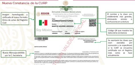 Consulta Y Descarga Tu Curp【guía Paso A Paso】