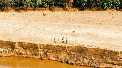 South Luangwa National Park Zambia Green Safaris