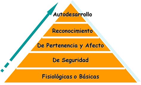 Descubre la Teoría Motivacional de las Necesidades y cómo aplicarla en