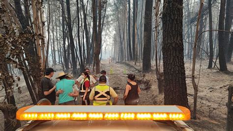 Incendios Dejan Once Personas Fallecidas En Santa Juana