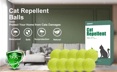 Amazon.com: 10 Pack Natural Cat Repellent Outdoor Indoor, Peppermint ...