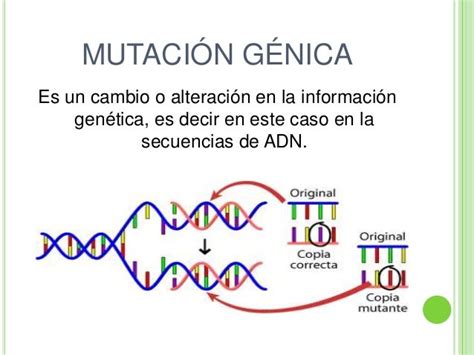 Lesiones O Daños Fortuitos De Adn