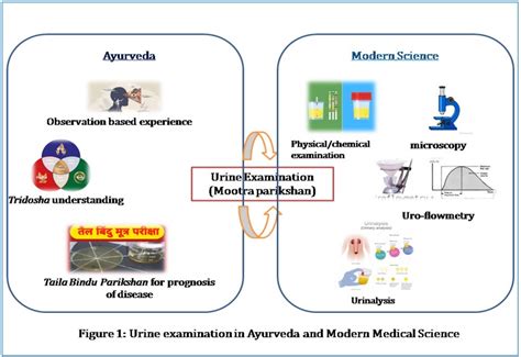 Urine Analysis In Ayurveda And Modern Medicine Exploring Convergence