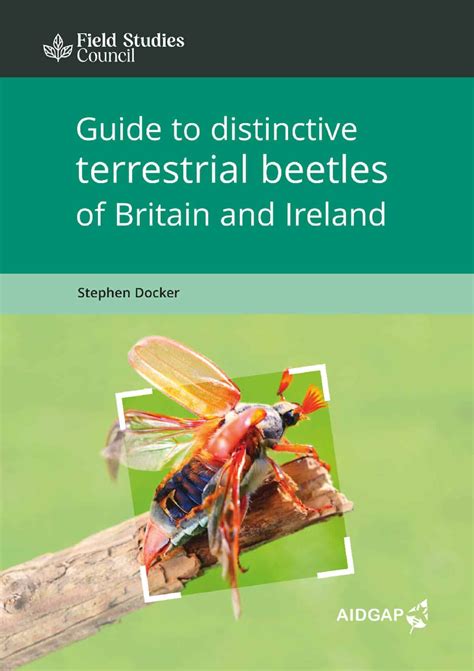 Guide to Distinctive Terrestrial Beetles of Britain and Ireland - Veldshop