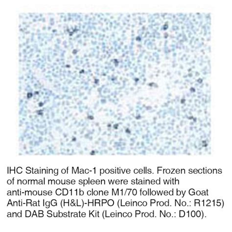cdb monoclonal antibody  functional grade  mg