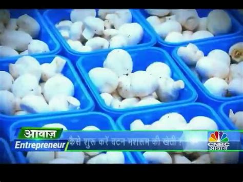 50 हजार रुपये लगाकर सालाना कमाएं 250 लाख शुरू करें ये बिजनेस Video