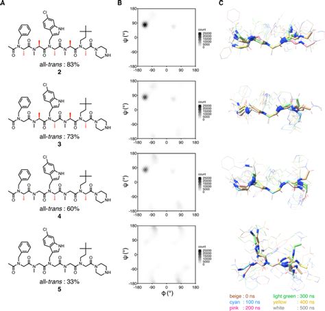 Structural Analysis Of Peptoids A Chemical Structures Of 25 The