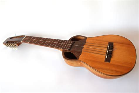 High Quality Acoustic Ronroco by Luthier - Beautifulinstrument.com