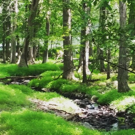 Monroe... - Monroe County Municipal Waste Management Authority