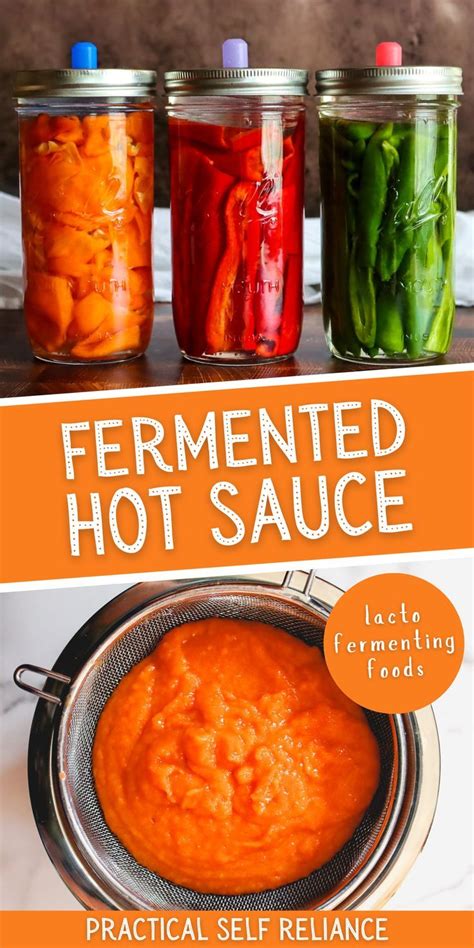 Fermented Hot Sauce Artofit