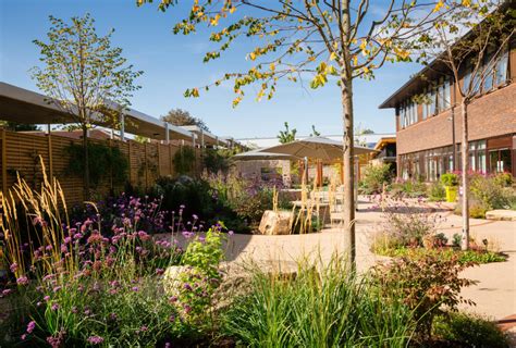 National Garden Scheme Open Days Horatio S Garden