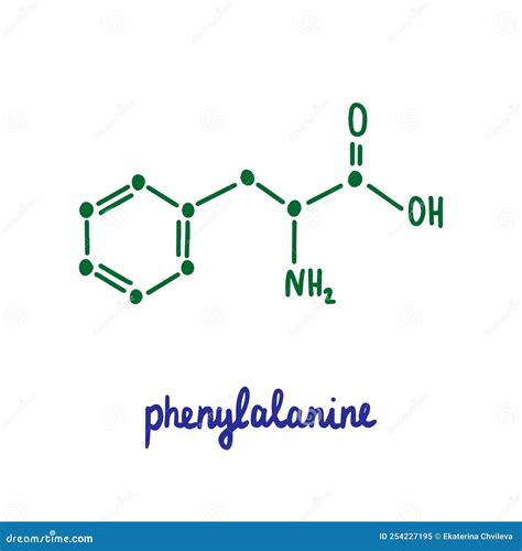 Phenylalanine Hand Drawn Vector Formula Chemical Structure Lettering Blue Green Stock Vector ...