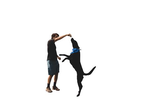 Handsome Man Feeding His Dog Transparent Backgroundpng Get Your Free