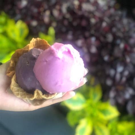 Nieve de Olla Roma Norte Cuauhtémoc Mexico Helado De Fresa Pitahaya y