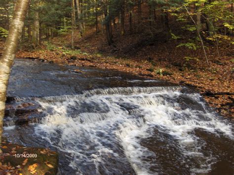 FLT - Ludlow Creek State Forest