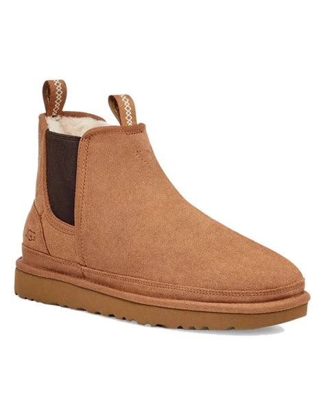 Ugg Neumel Chelsea Chestnut High Top Shoes Snowleader