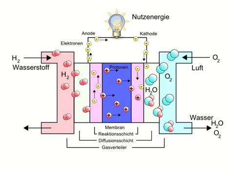 Grundlagen Der Brennstoffzelle