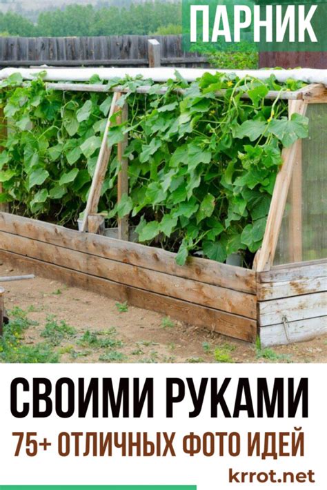 Как Cделать Парник Своими Руками (75 Фото & Видео)