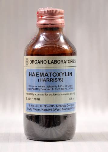 Haematoxylin - Alchetron, The Free Social Encyclopedia