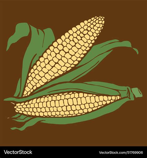 A Pair Of Corn Isolated Royalty Free Vector Image