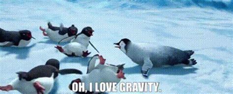 Happy Feet The Amigos GIF - Happy Feet The Amigos Oh I Love Gravity ...