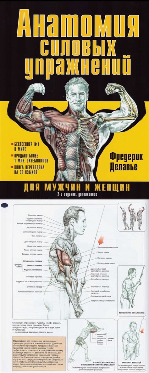 Книга „Анатомия силовых упражнений для мужчин и женщин„ Фредерик ...