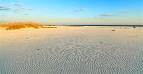 Condos on Perdido Key, Florida Stock Image - Image of seashore, highend: 11535471