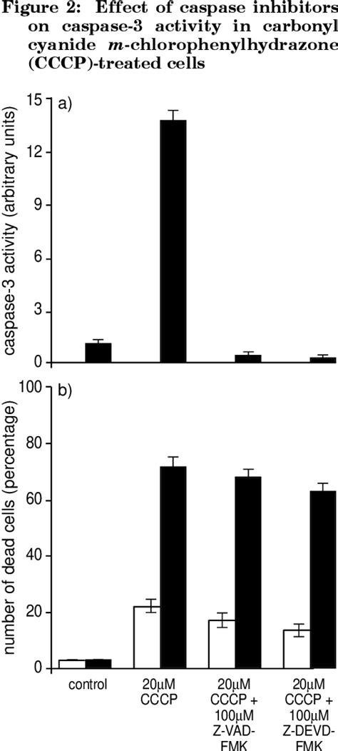 Figure From Caspase Activity And Carbonyl Cyanide M