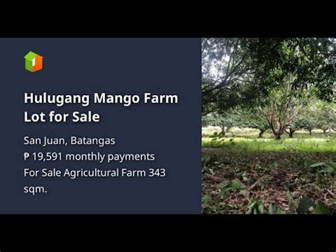 Hulugang Mango Farm Lot For Sale YouTube