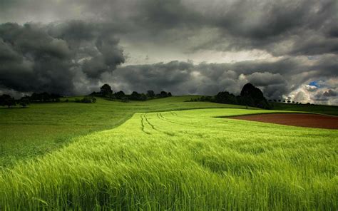 Green 8k Wallpapers - Top Free Green 8k Backgrounds - WallpaperAccess