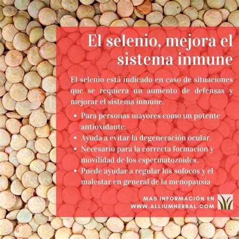 Day Vit Active 30 Comprimidos De Health Aid