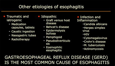 The Radiology Assistant Esophagus I Anatomy Rings Inflammation