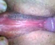 Bbw Fodendo Xhamster