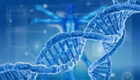 DNA Nedir DNA nın Yapısı ve Özellikleri Nelerdir TechWorm