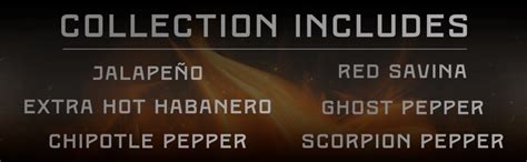Amazon Melindas Pepper Sauce Challenge Collection Extra Spicy Gourmet Hot Sauce Gift