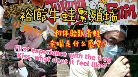 裕廊牛蛙场 Jurong Frog Farm Youtube