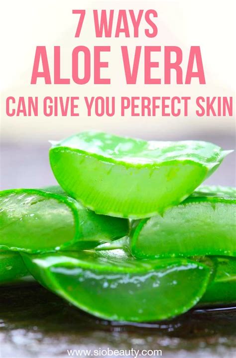 The Healing Powers Of Aloe Vera Artofit