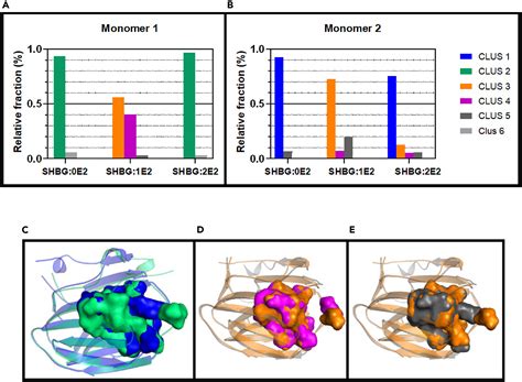 Estradiol Induces Allosteric Coupling And Partitioning Of Sex Hormone