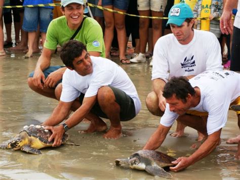 G1 Projeto Tamar comemora soltura ao mar da tartaruga de número 10